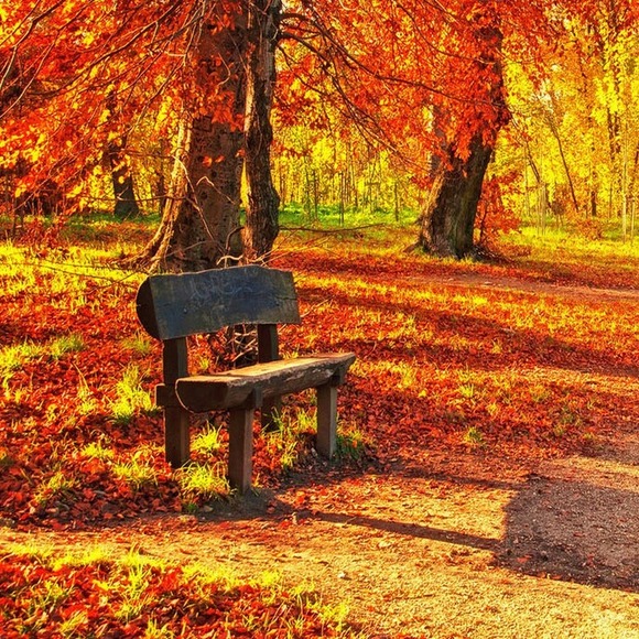 Meet your Posher, Truecolors - Picture 1 of 1